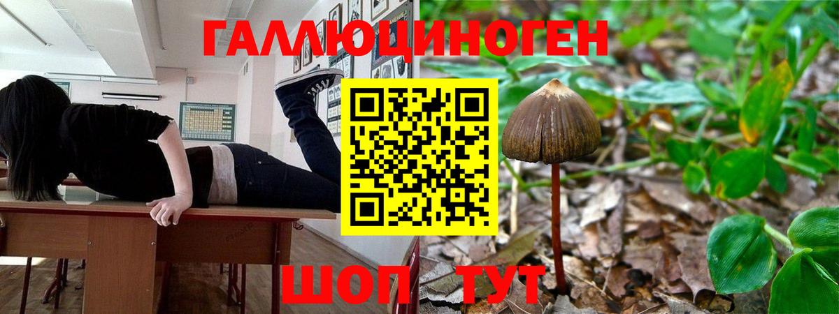 Псилоцибиновые грибы Psilocybe  Вход с VPN  Волжск  Псилоцибиновые грибы MAGIC MUSHROOMS 